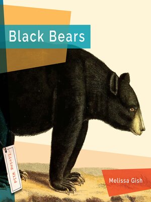 cover image of Black Bears